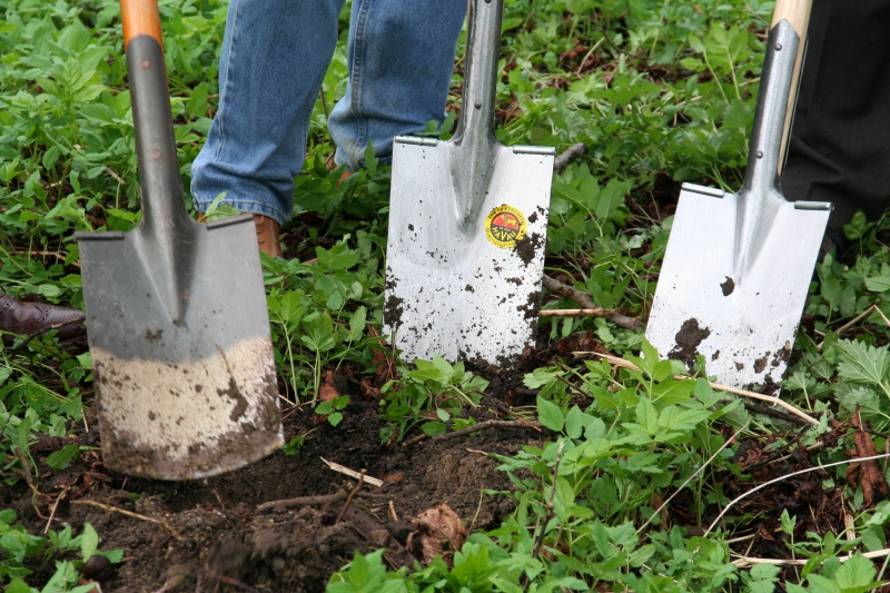 pepiniere-LA COLLE SUR LOUP-min_work-lawn-flower-tool-green-backyard-1103633-pxhere.com